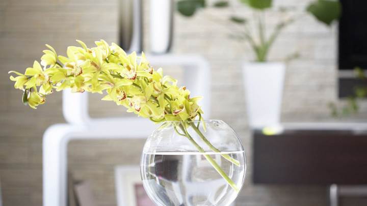 Green Flowers In Jar On A Table